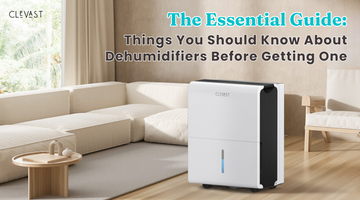 The Essential Guide: Things You Should Know About Dehumidifiers Before Getting One