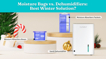 Moisture Bags vs. Dehumidifiers: Best Winter Solution?
