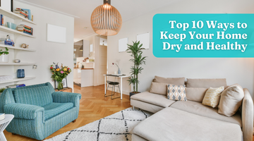 Top 10 Ways to Keep Your Home Dry and Healthy