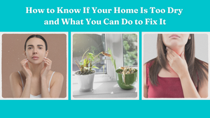 How to Know If Your Home Is Too Dry and What You Can Do to Fix It