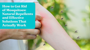 How to Get Rid of Mosquitoes: Natural Repellents and Effective Solutions That Actually Work