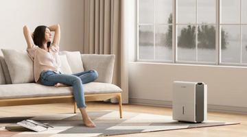 How Does A Dehumidifier Work?