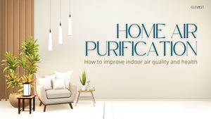 How to Improve Your Indoor Air Quality and Health with Home Air Purification
