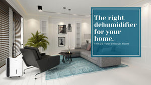 DEHUMIDIFIER FOR HOMES: Why You Should Consider in Investing One Today?