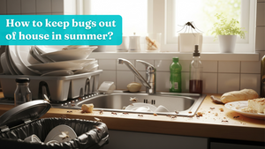 How to keep bugs out of house in summer?