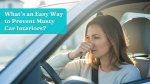 What’s an Easy Way to Prevent Musty Car Interiors?