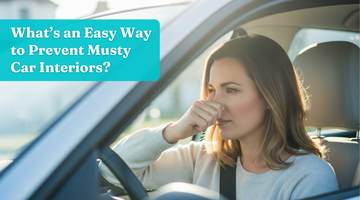 What’s an Easy Way to Prevent Musty Car Interiors?