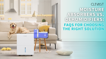 Moisture Absorbers vs. Dehumidifiers: FAQs for Choosing the Right Solution