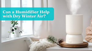 Can a Humidifier Help with Dry Winter Air?