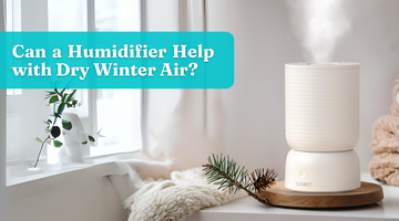 Can a Humidifier Help with Dry Winter Air?