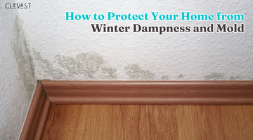 How to Protect Your Home from Winter Dampness and Mold