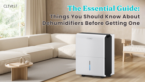 The Essential Guide: Things You Should Know About Dehumidifiers Before Getting One