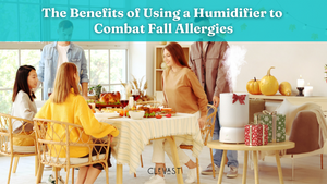 The Benefits of Using a Humidifier to Combat Fall Allergies