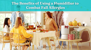 The Benefits of Using a Humidifier to Combat Fall Allergies