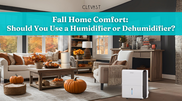 Fall Home Comfort: Should You Use a Humidifier or Dehumidifier?