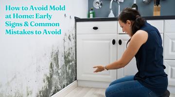How to Avoid Mold at Home: Early Signs & Common  Mistakes to Avoid
