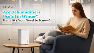 Are Dehumidifiers Useful in Winter? Benefits You Need to Know!