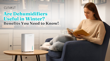 Are Dehumidifiers Useful in Winter? Benefits You Need to Know!