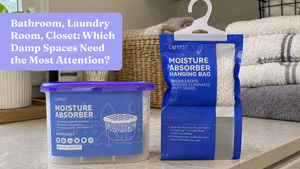 Bathroom, Laundry Room, Closet: Which Damp Spaces Need the Most Attention?