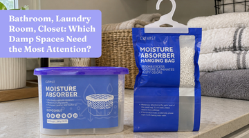 Bathroom, Laundry Room, Closet: Which Damp Spaces Need the Most Attention?