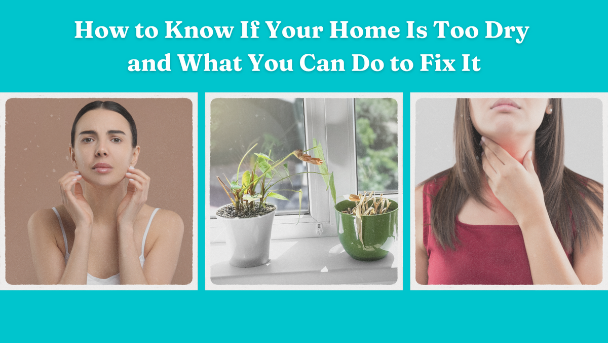 How to Know If Your Home Is Too Dry and What You Can Do to Fix It – CLEVAST