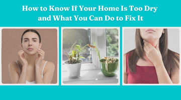 How to Know If Your Home Is Too Dry and What You Can Do to Fix It