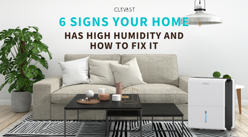 6 Signs Your Home Has High Humidity and How to Fix It