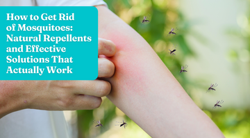 How to Get Rid of Mosquitoes: Natural Repellents and Effective Solutions That Actually Work