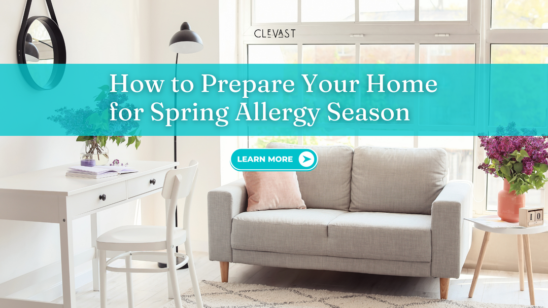 How to Prepare Your Home for Spring Allergy Season – CLEVAST