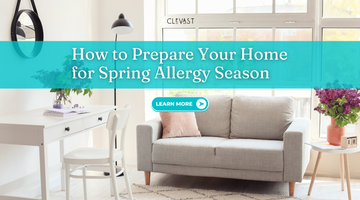 How to Prepare Your Home for Spring Allergy Season