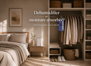 Moisture Absorber Bag or Dehumidifier: Which One Does Your Home Need?