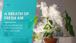 A BREATH OF FRESH AIR: Incorporating Air Filtration Systems into Your Home