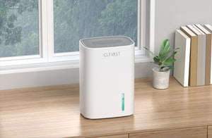 Portable Dehumidifier