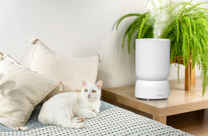 Smart Humidifier